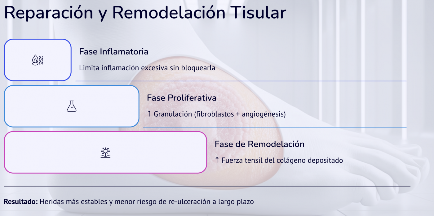 pie diabetico Fotobiomodulacion Laser